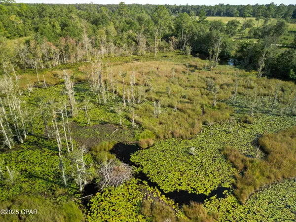 $275,000 | East Side Lake Victor Road, Westville, FL 32464