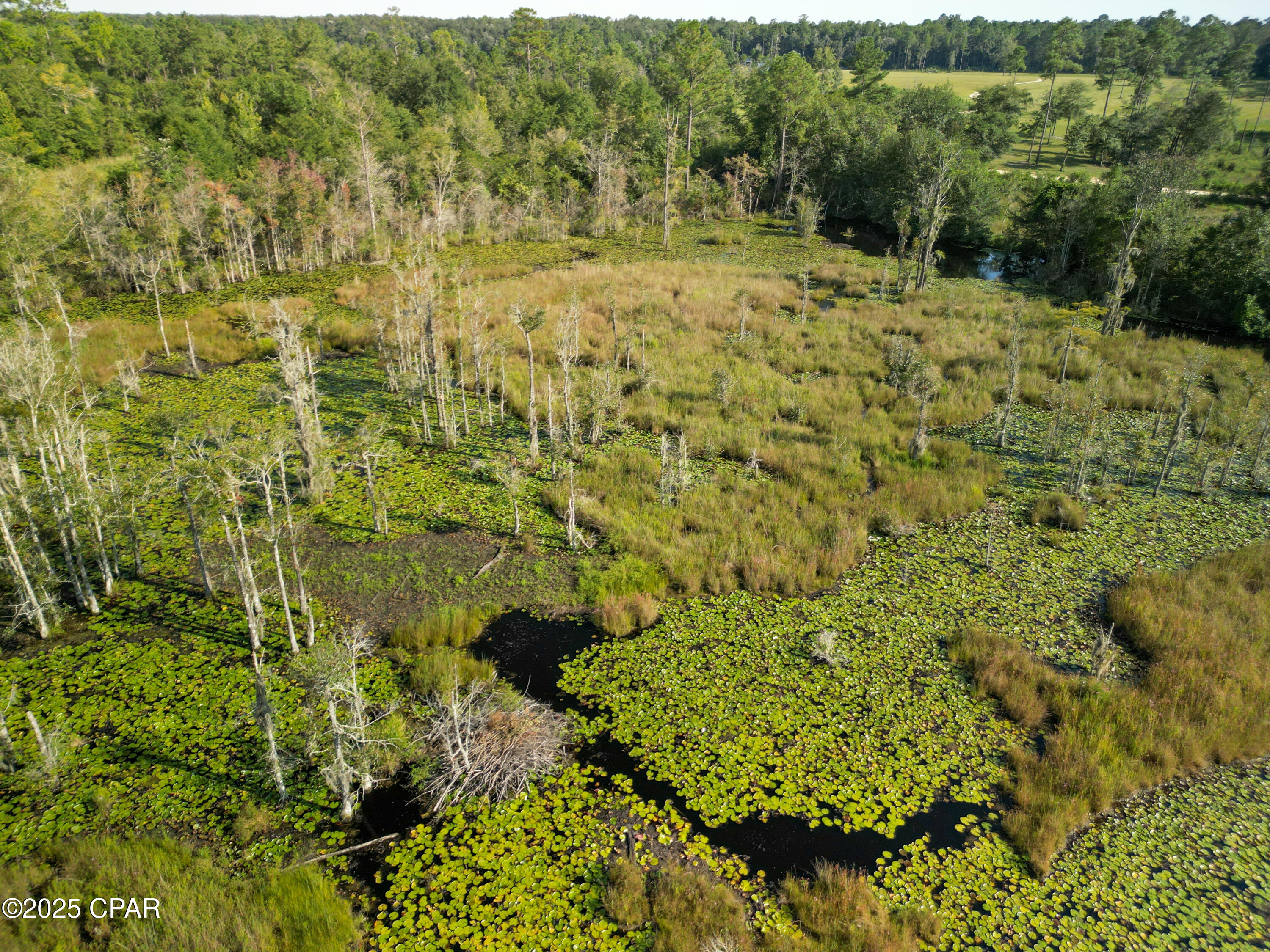 East Side Lake Victor Road Westville, FL 32464 - Photo 4 of 18
