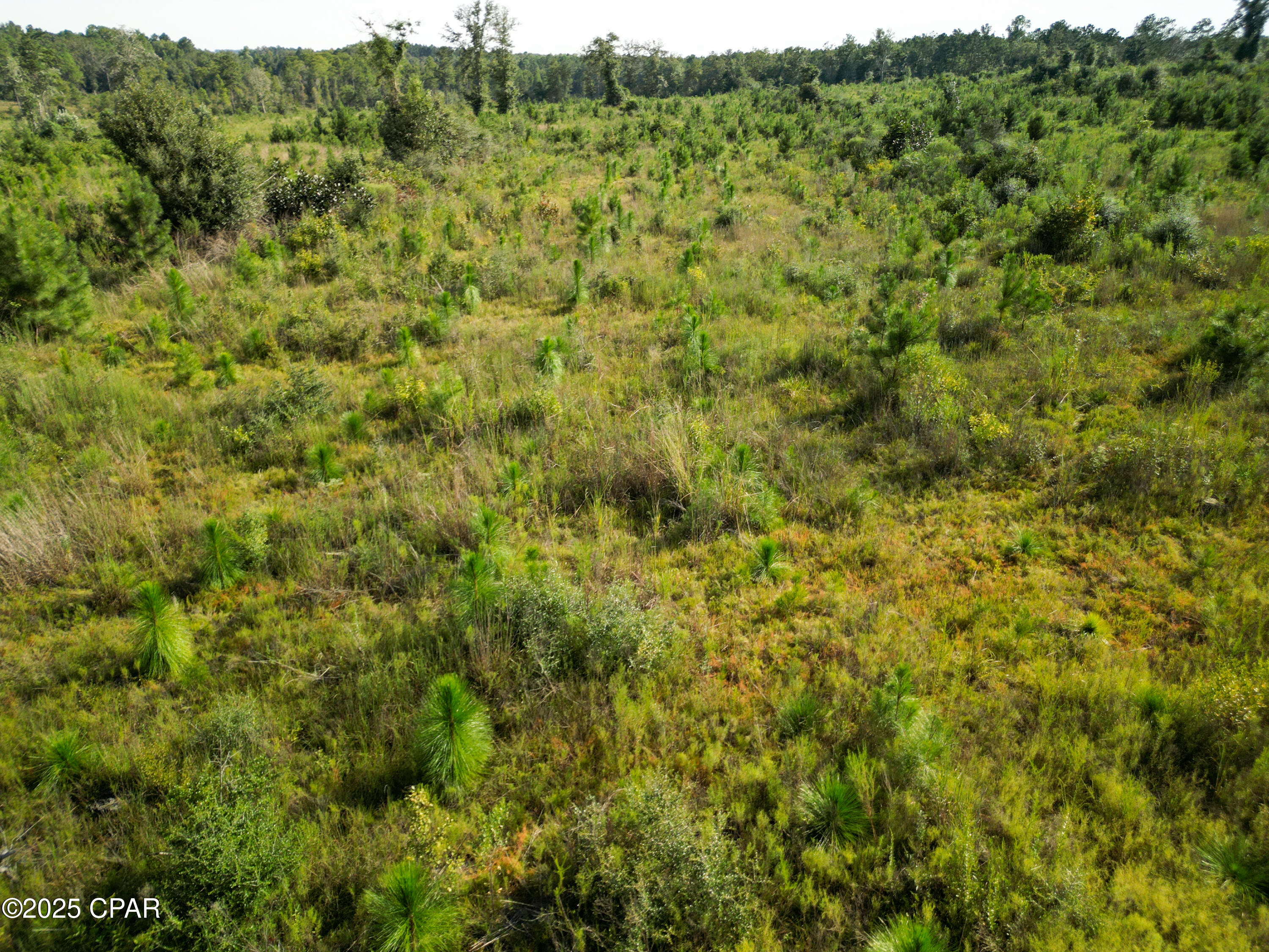 East Side Lake Victor Road Westville, FL 32464 - Photo 5 of 18