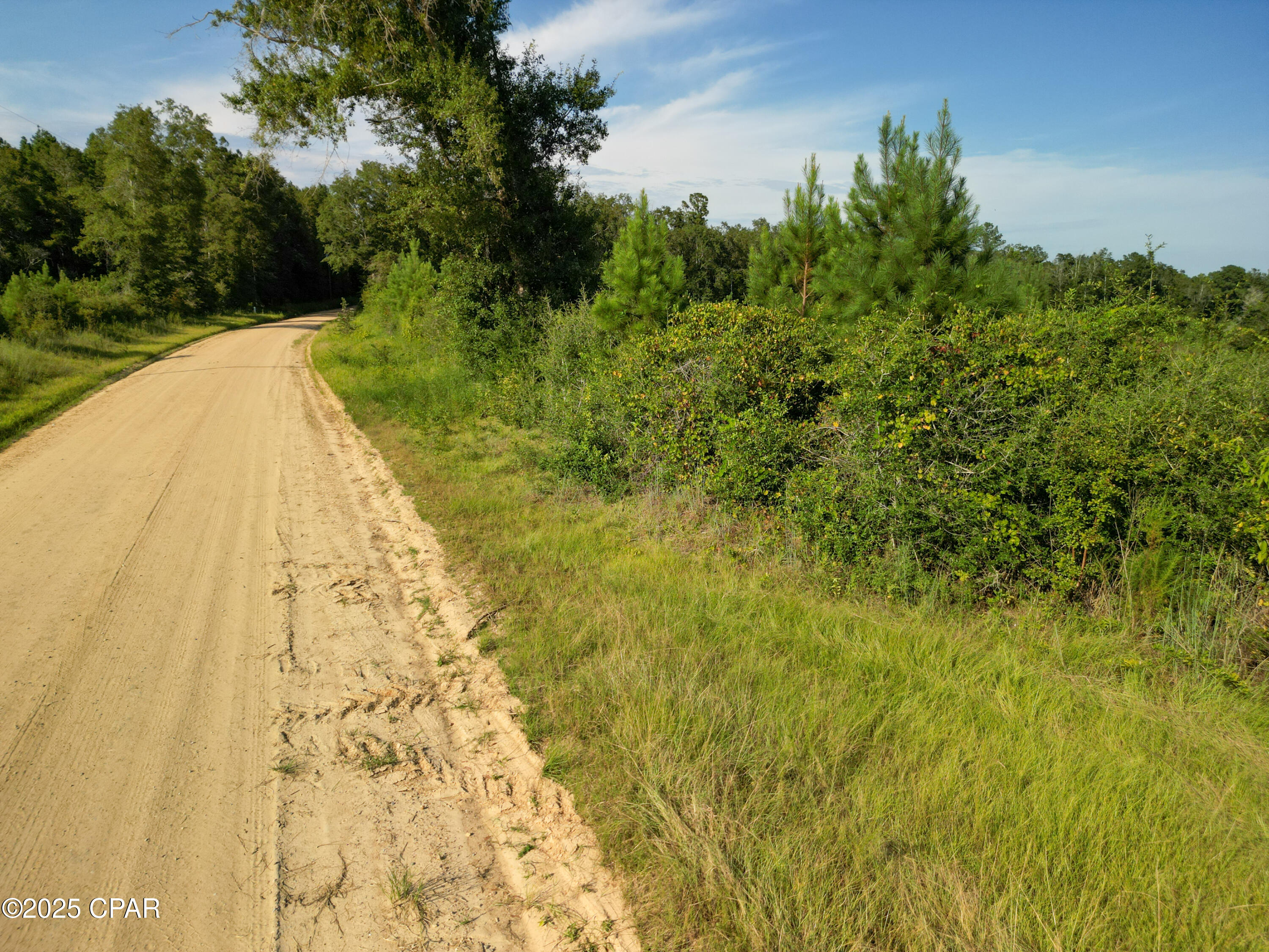East Side Lake Victor Road Westville, FL 32464 - Photo 6 of 18