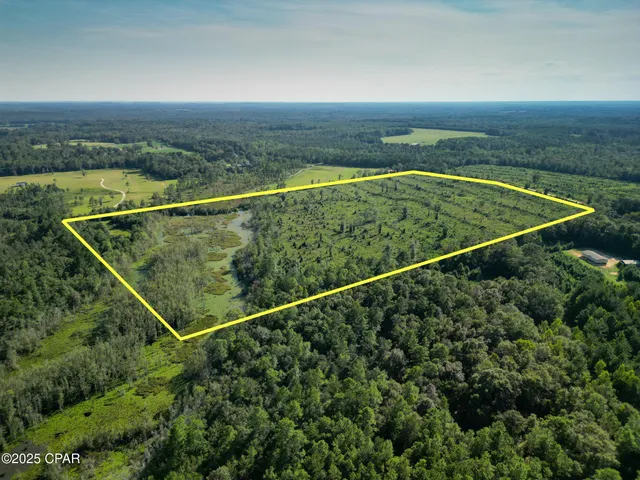 $275,000 | East Side Lake Victor Road, Westville, FL 32464