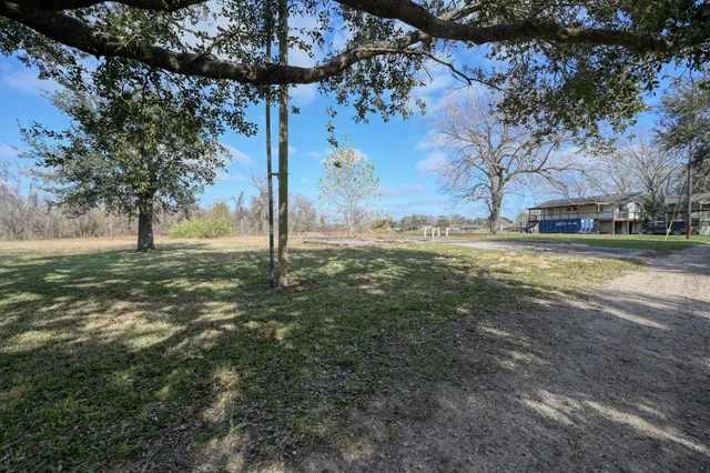 a view of a yard with an tree