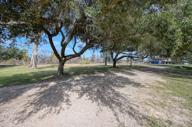 a view of dirt yard with a tree