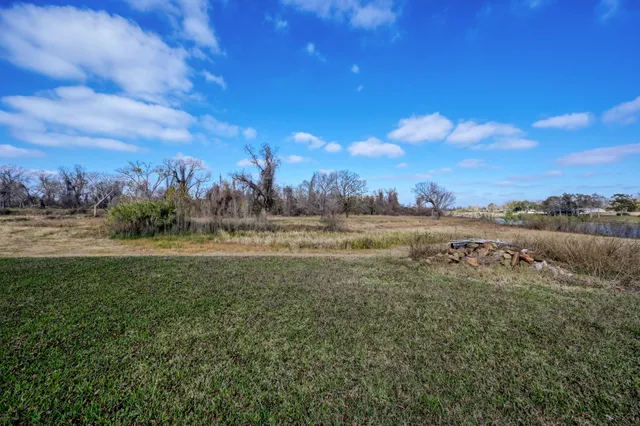 a view of a field with large trees