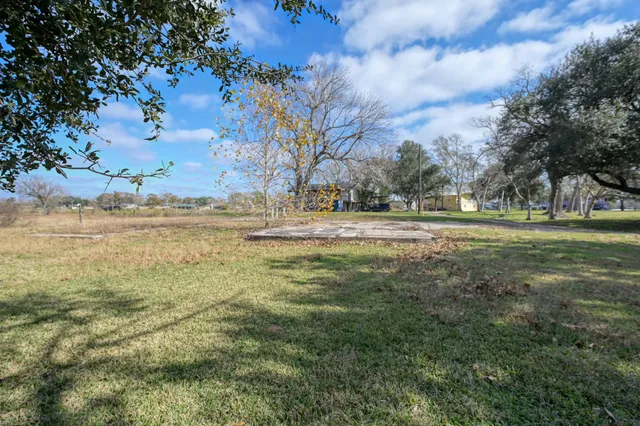 a view of a yard with an trees