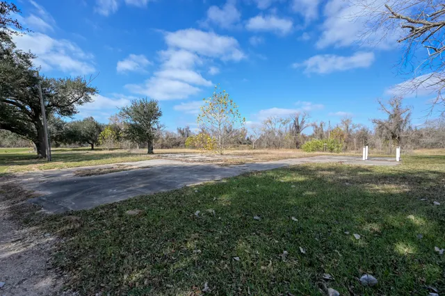 a view of dirt yard with large trees