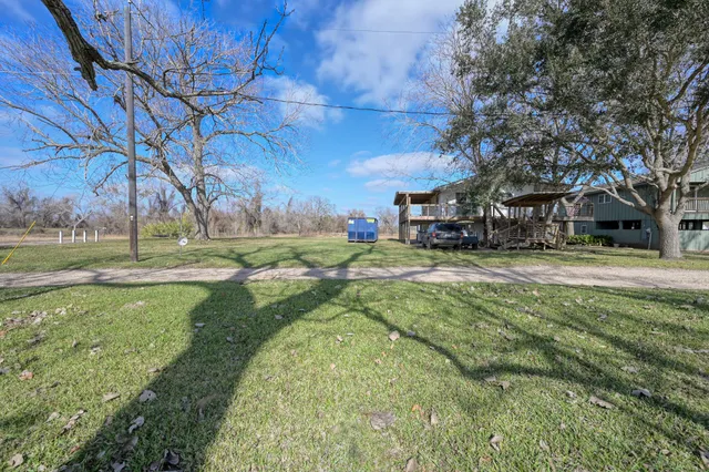 a view of a park with large trees