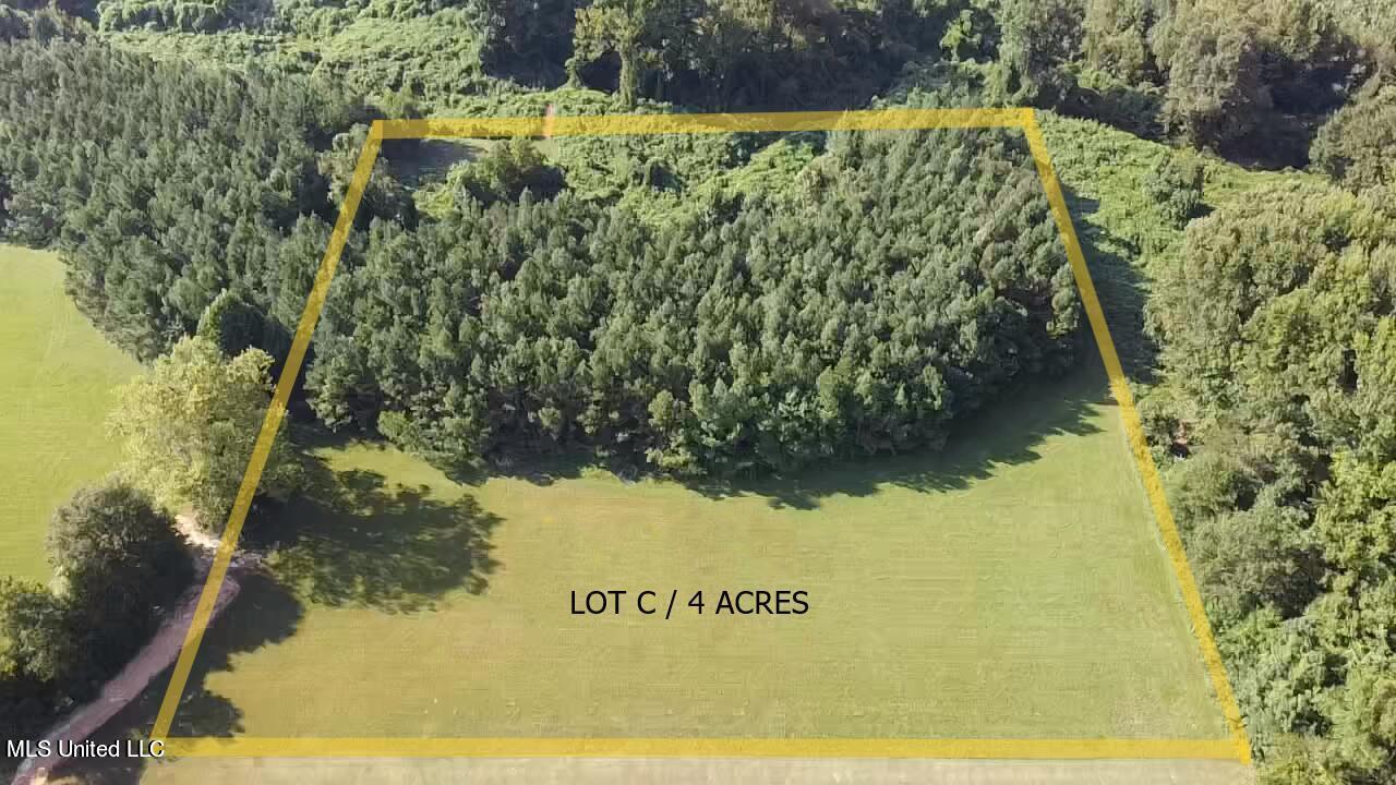 2645 Odom Road Hernando, MS 38632 - Photo 1 of 4 Overhead View