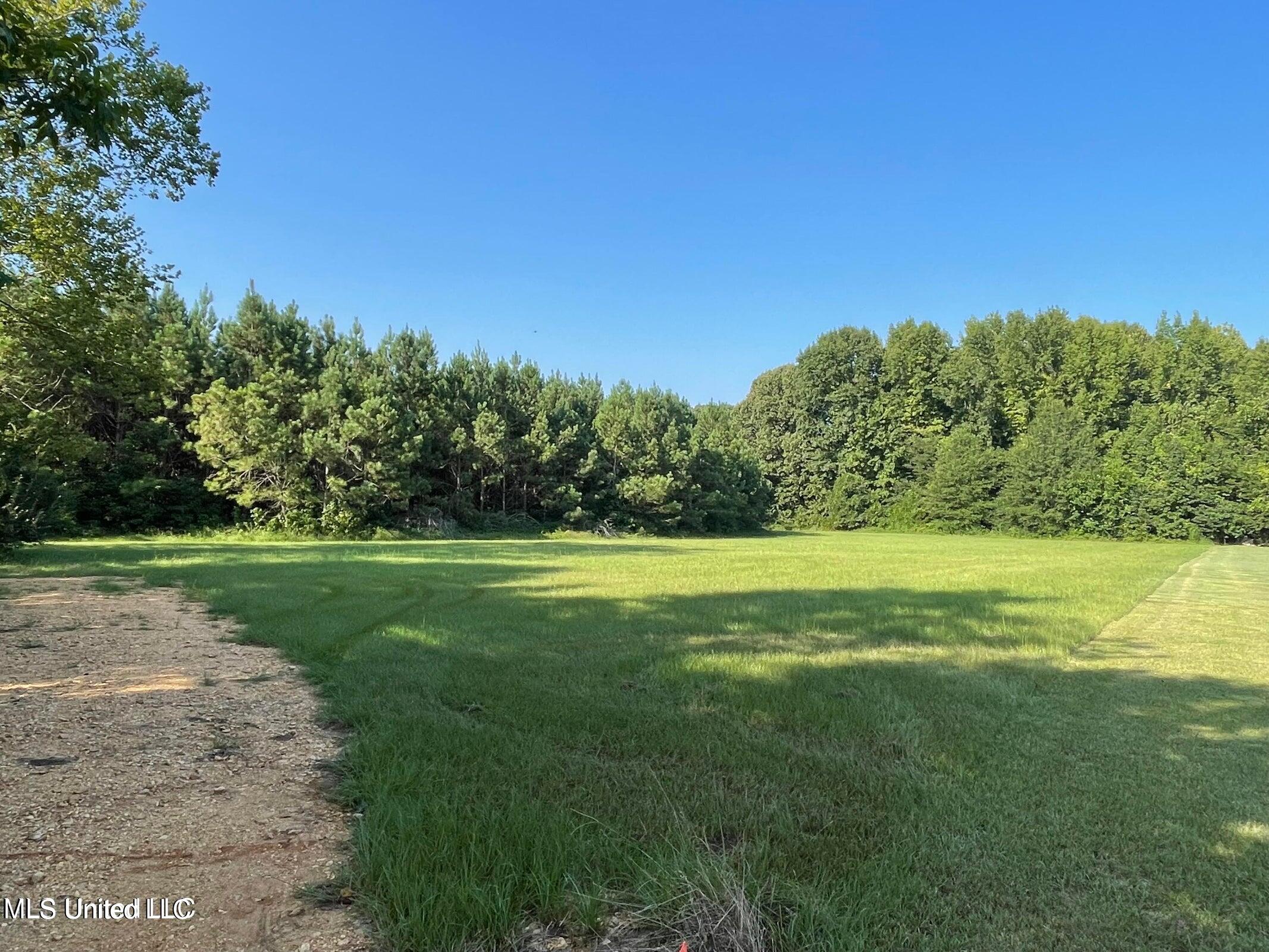 2645 Odom Road Hernando, MS 38632 - Photo 2 of 4 20230901193711992724000000-o