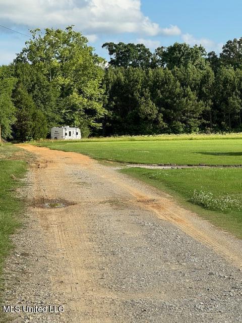 2645 Odom Road Hernando, MS 38632 - Photo 4 of 4 IMG_5007