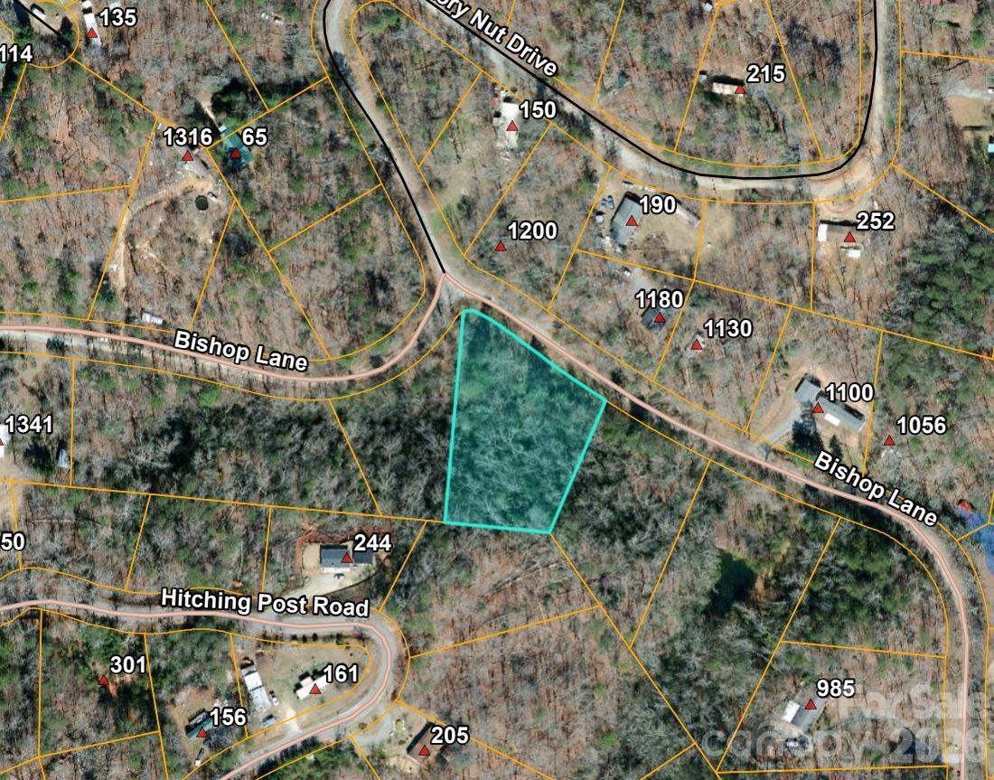 0 Bishop Lane Mill Spring, NC 28756 - Photo 5 of 5