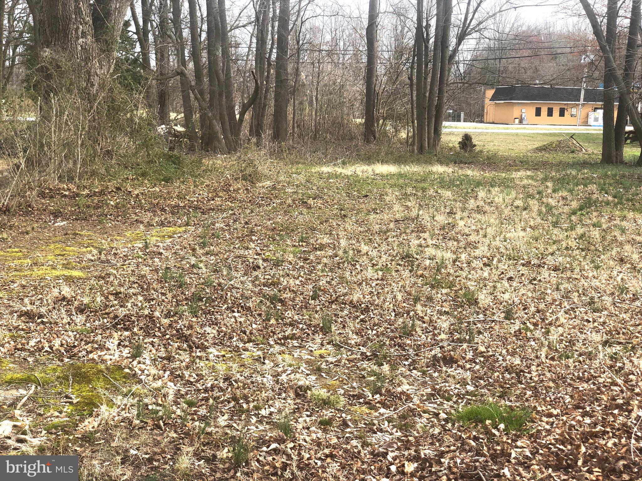 208 Raleigh Mitchell Lane Townsend, DE 19734 - Photo 7 of 12 Property looking at main road!