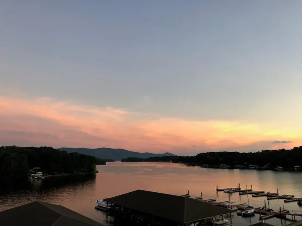 a view of a building with potted plants and more windows