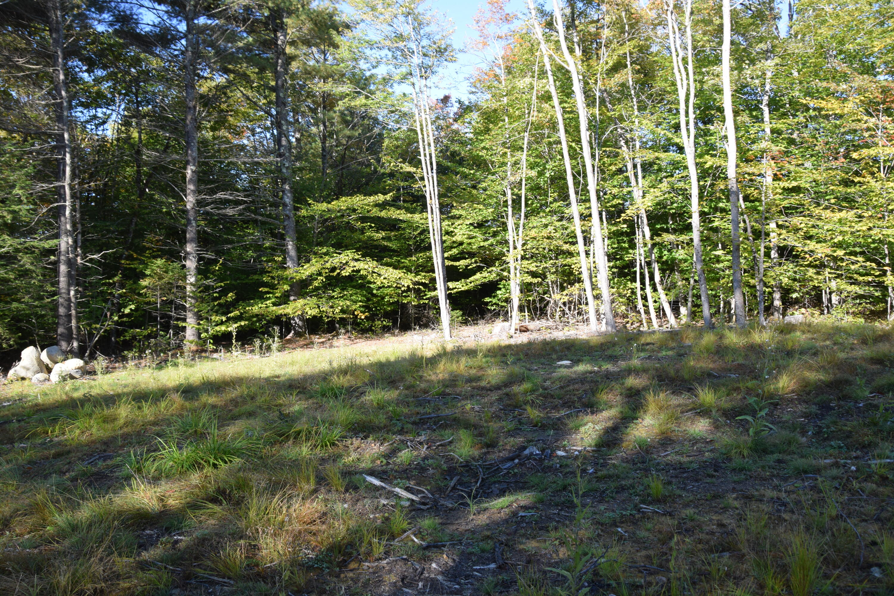 7 Spring Hill Drive Embden, ME 04958 - Photo 11 of 39 DSC_0011
