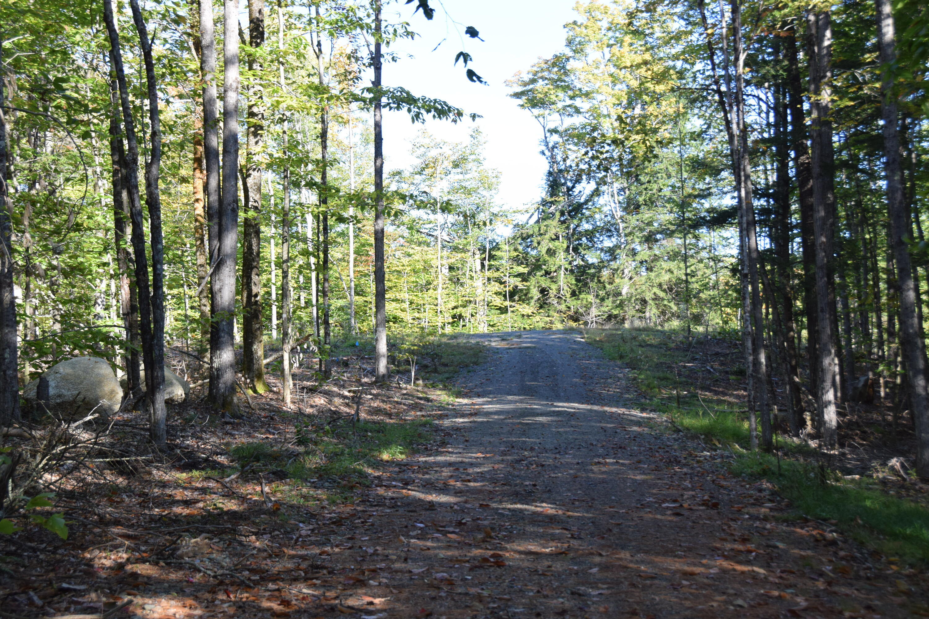 7 Spring Hill Drive Embden, ME 04958 - Photo 2 of 39 DSC_0006