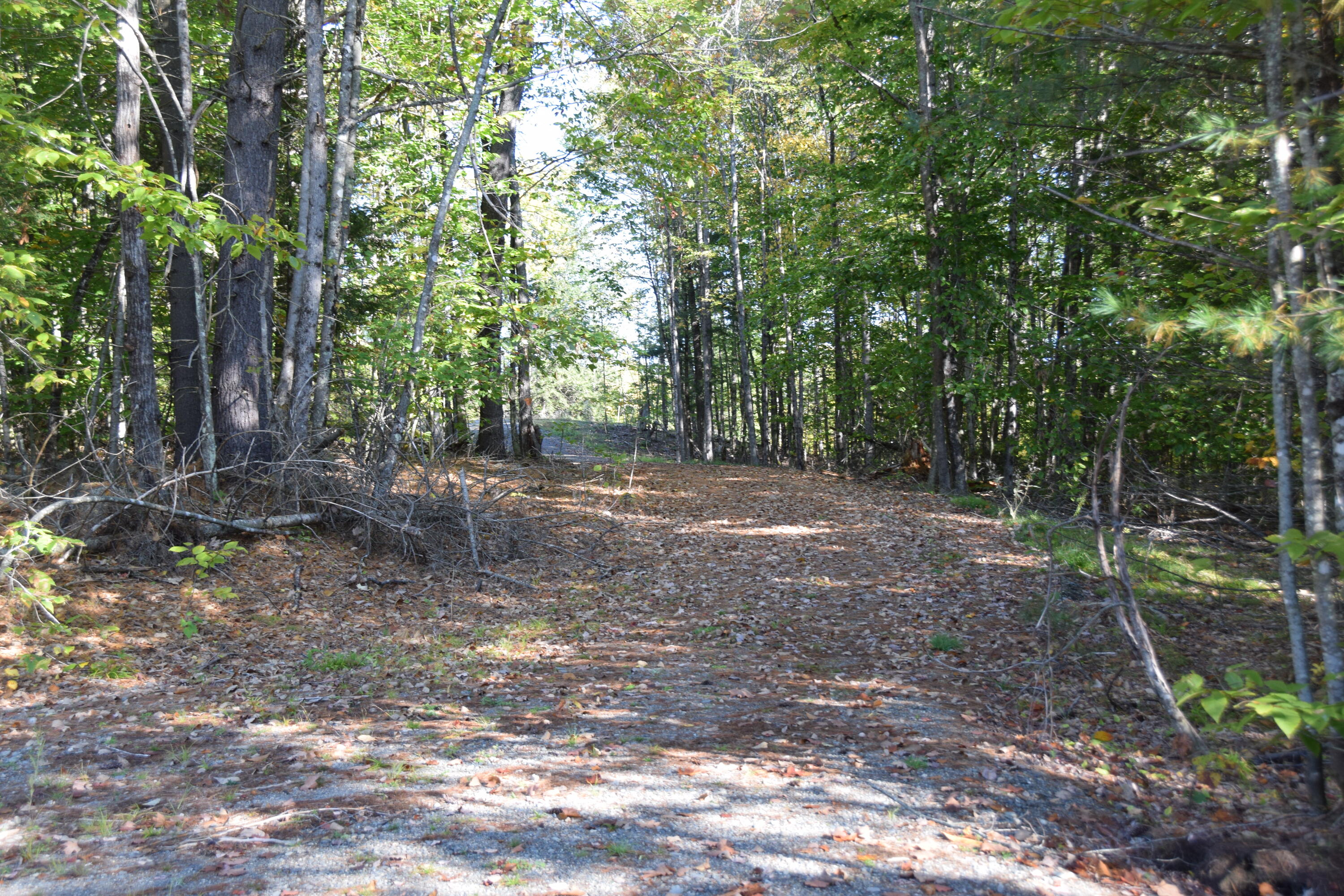 7 Spring Hill Drive Embden, ME 04958 - Photo 3 of 39 DSC_0003