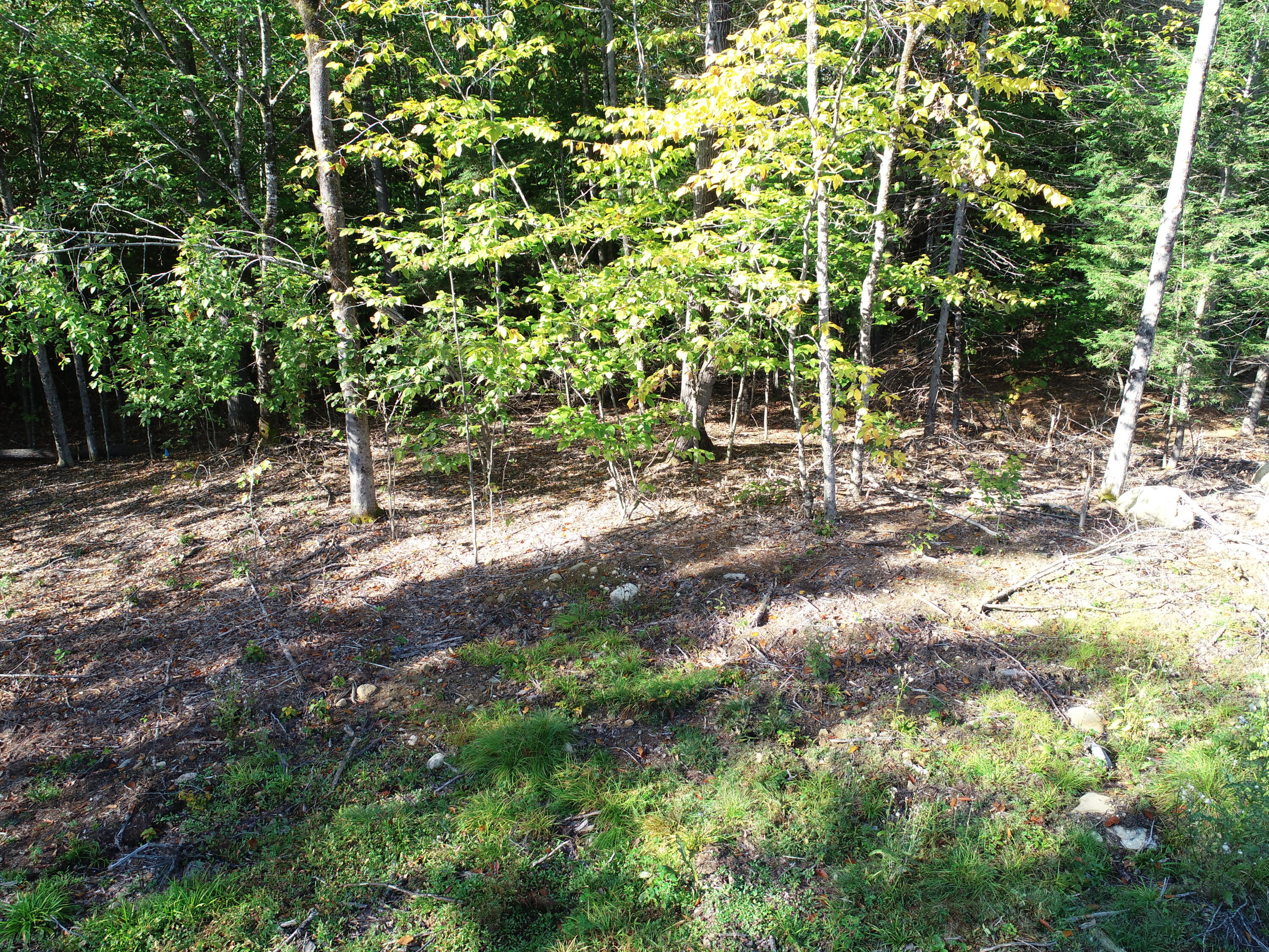 7 Spring Hill Drive Embden, ME 04958 - Photo 4 of 39 DJI_0009