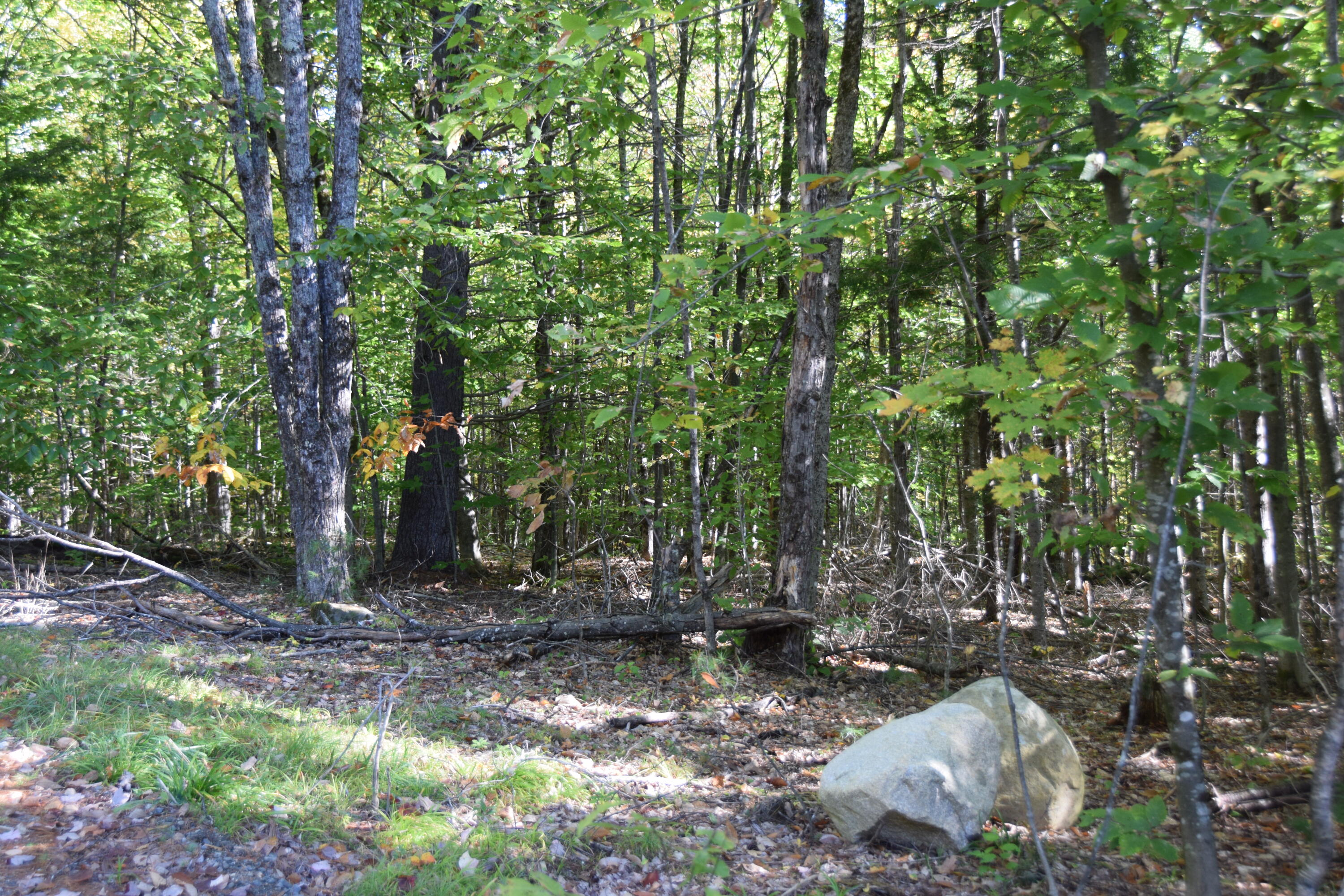 7 Spring Hill Drive Embden, ME 04958 - Photo 7 of 39 DSC_0004