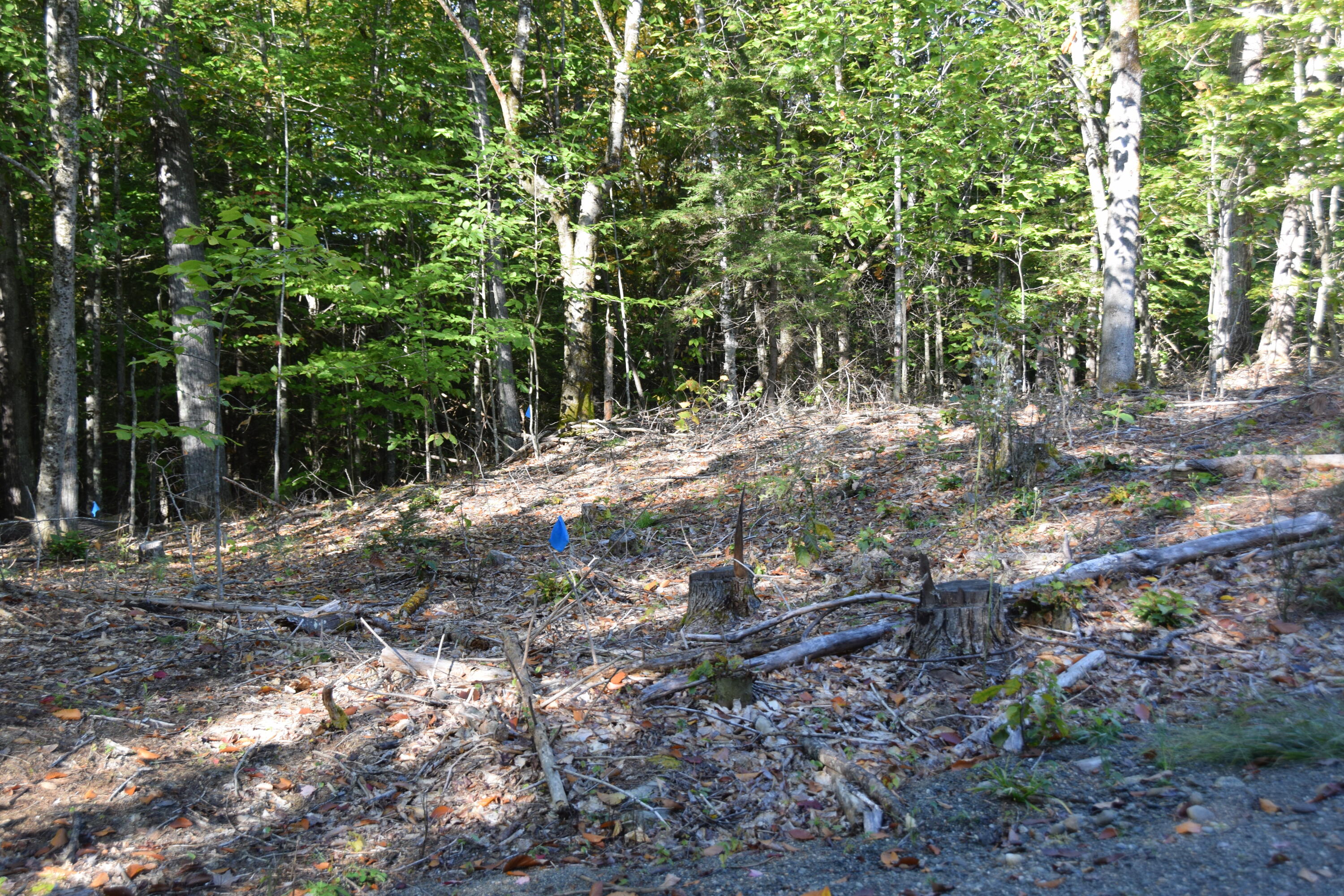 7 Spring Hill Drive Embden, ME 04958 - Photo 9 of 39 Septic Field