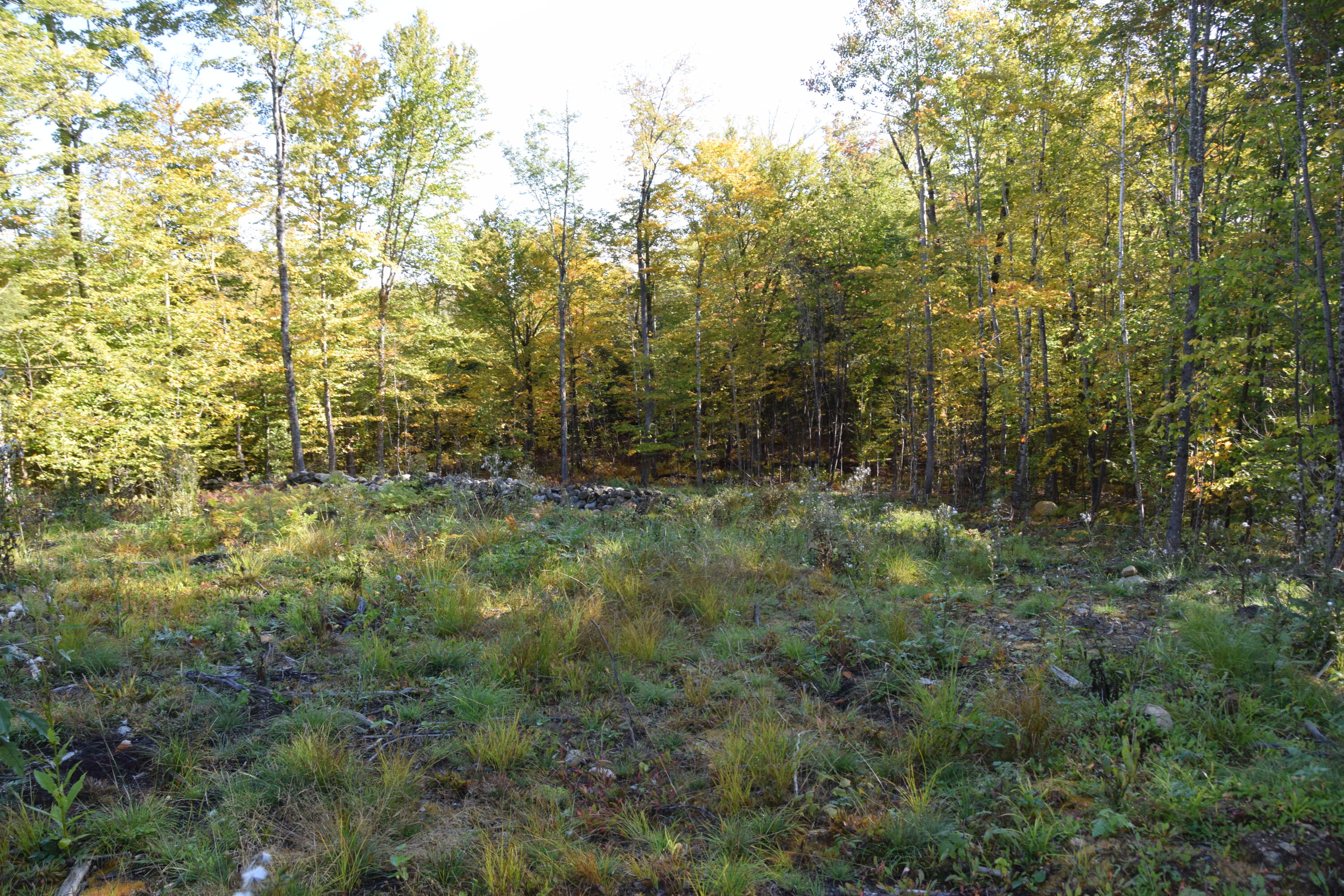 7 Spring Hill Drive Embden, ME 04958 - Photo 10 of 39 DSC_0010