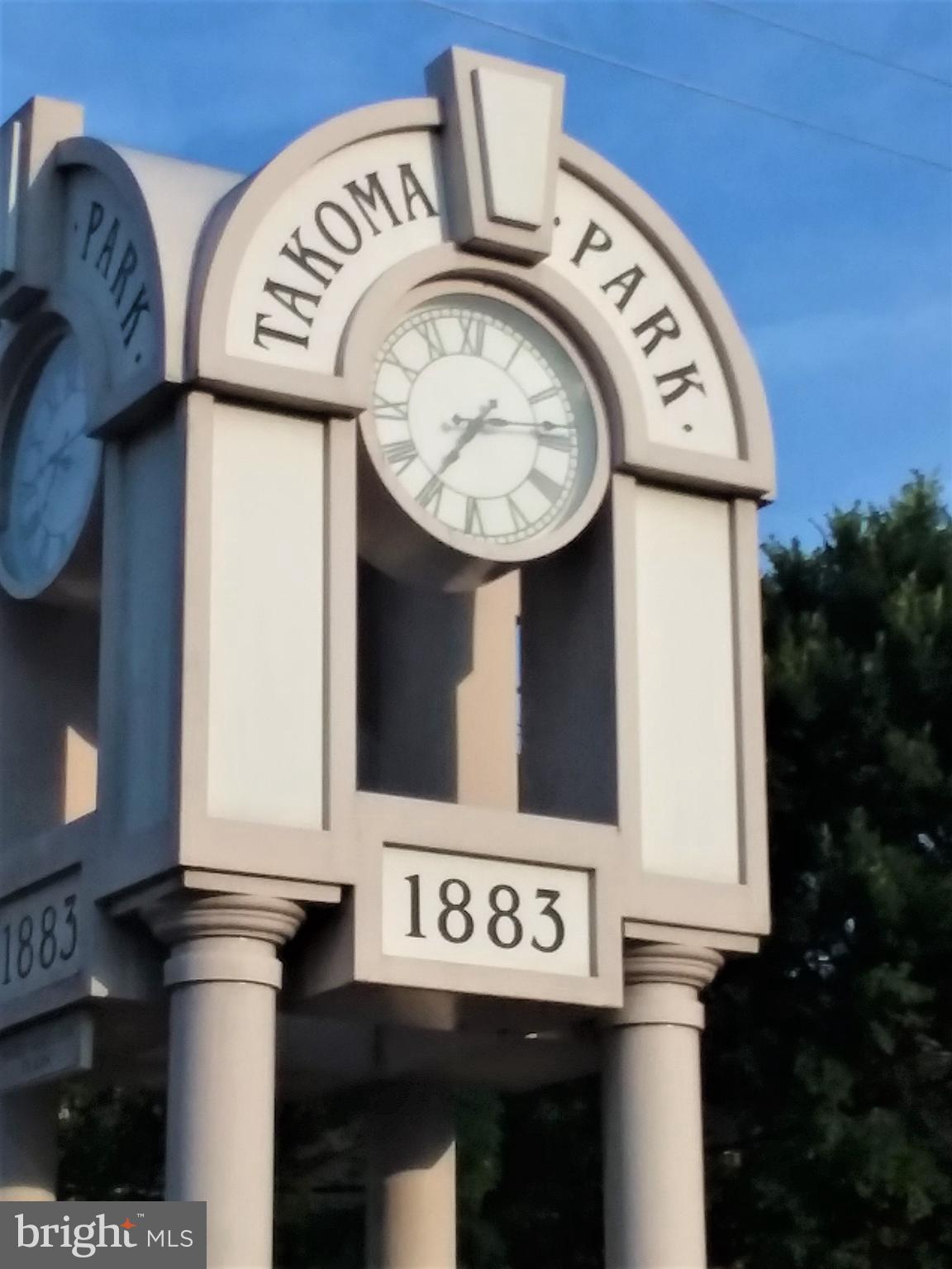 123 Walnut Street Northwest Washington, DC 20012 - Photo 54 of 59