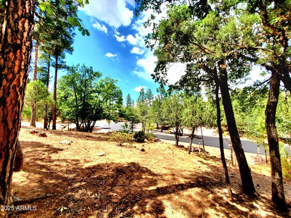 a view of a yard with trees