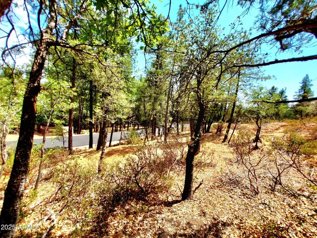 $145,000 | Lot 19 Strawberry Hollow, Unit 19, Pine, AZ 85544