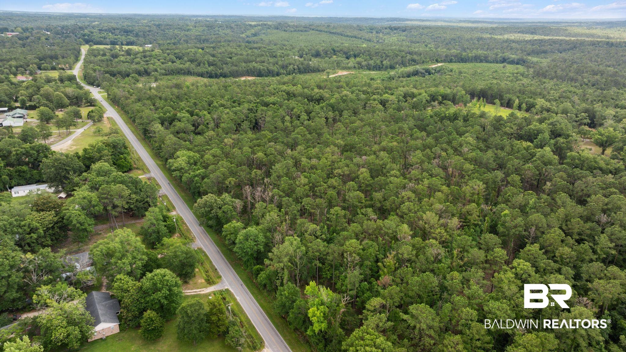 0 Hurricane Road Bay Minette, AL 36507 - Photo 21 of 30