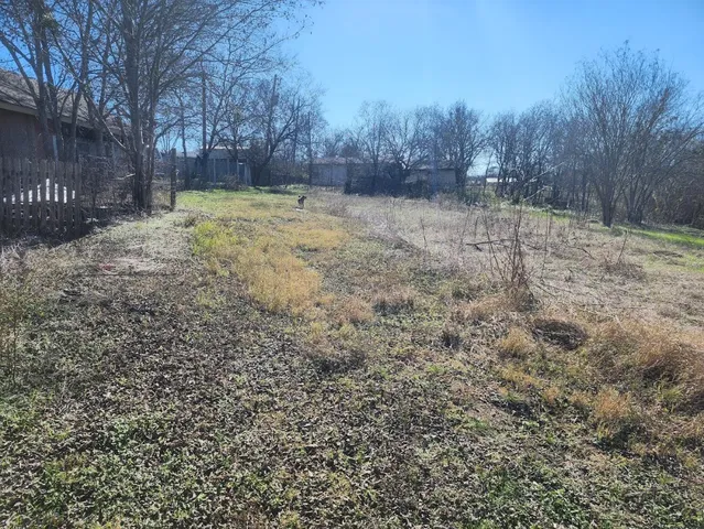 a view of a yard with trees