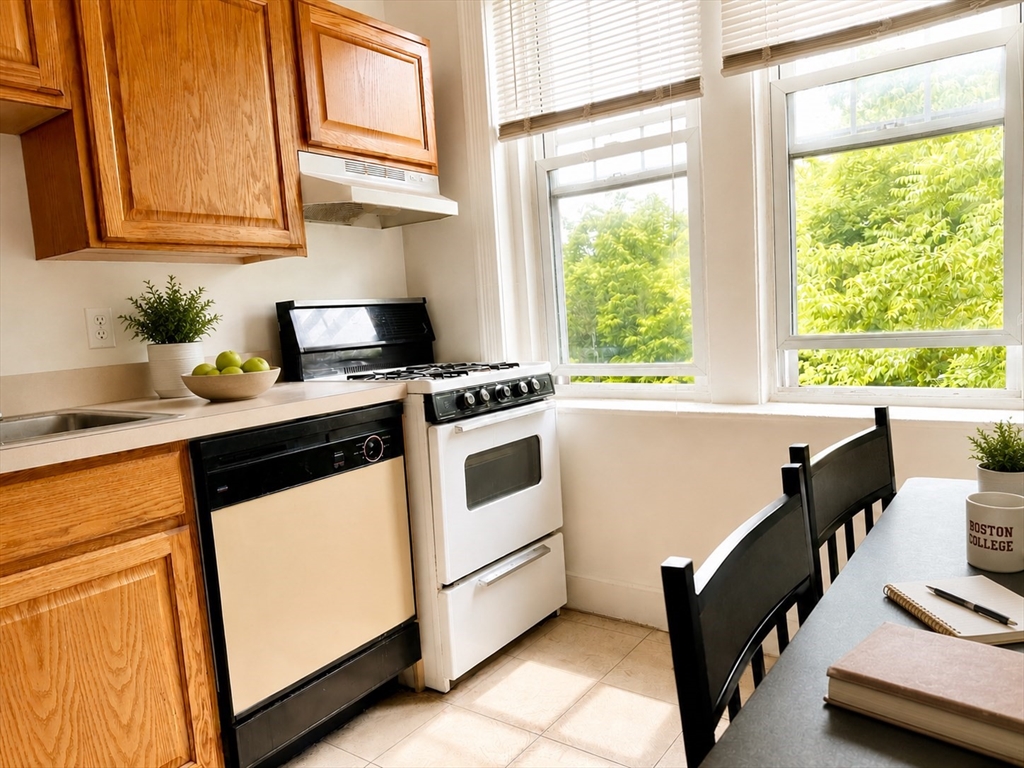 39 Mt Hood Road, Unit 10 Boston, MA 02135 - Photo 4 of 9