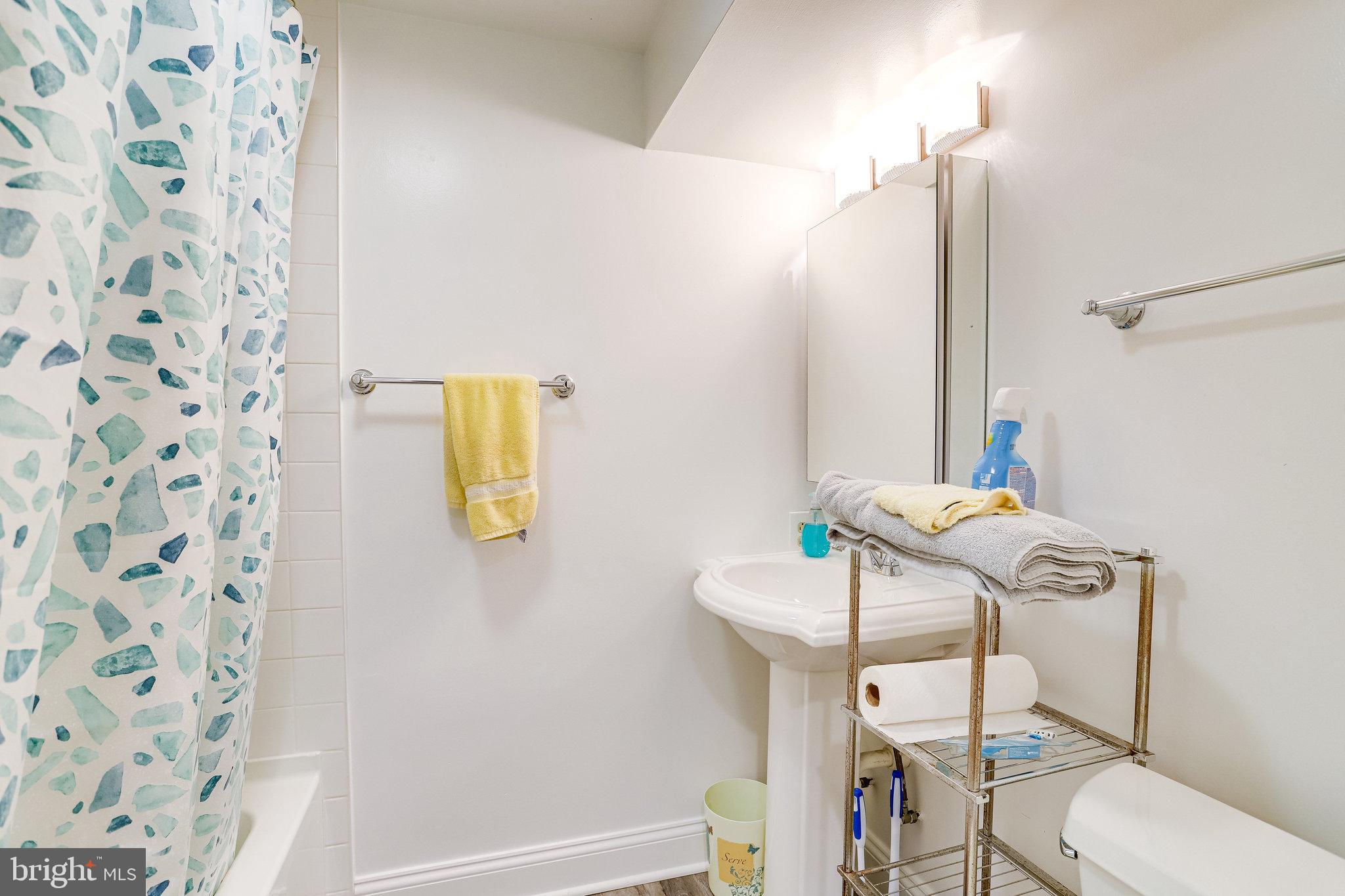 1737 Olney Road Falls Church, VA 22043 - Photo 54 of 75 2nd Full Bath in Lower Level
