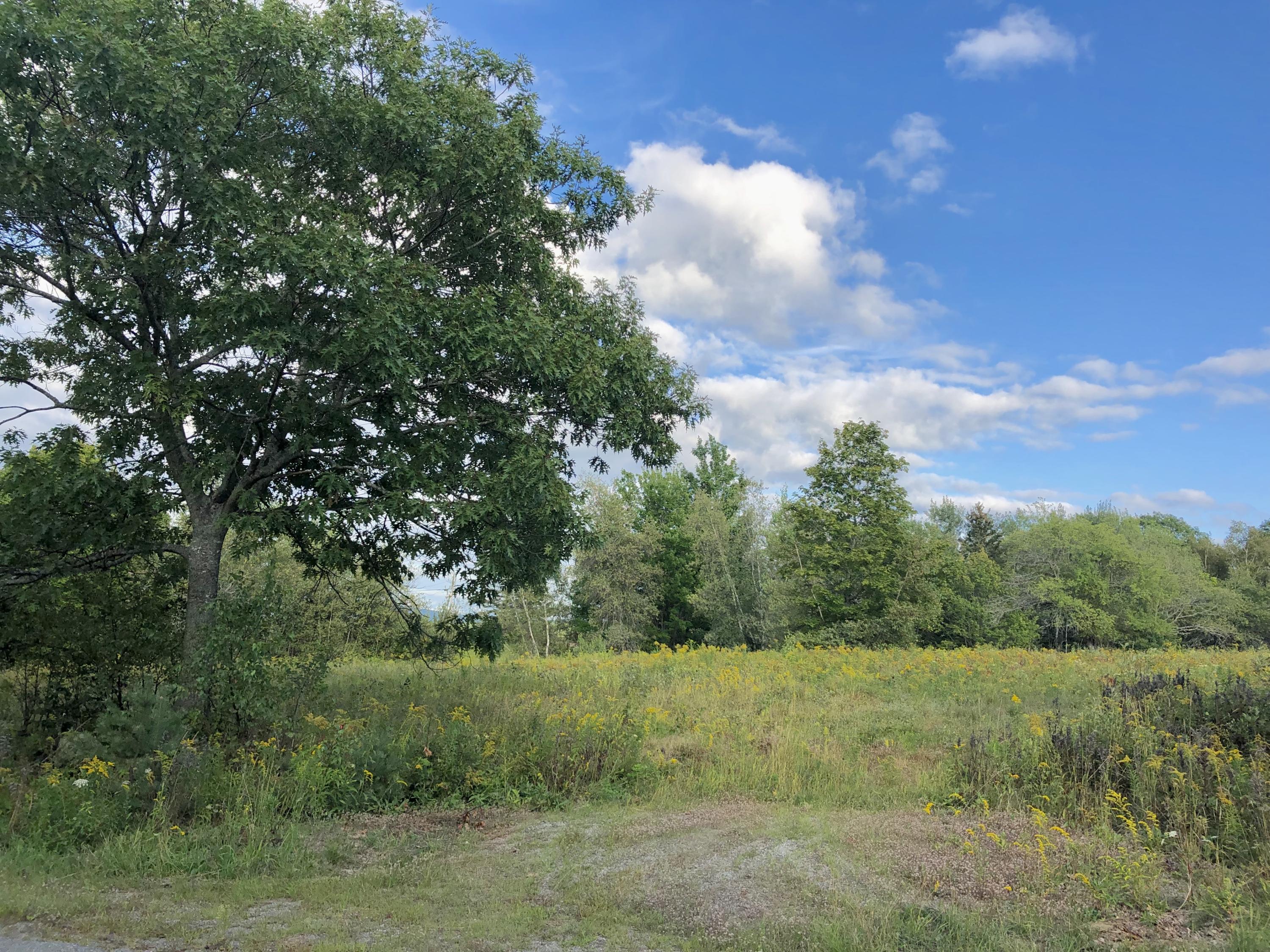 0 Valley View Road Holden, ME 04429 - Photo 2 of 11 IMG_2326