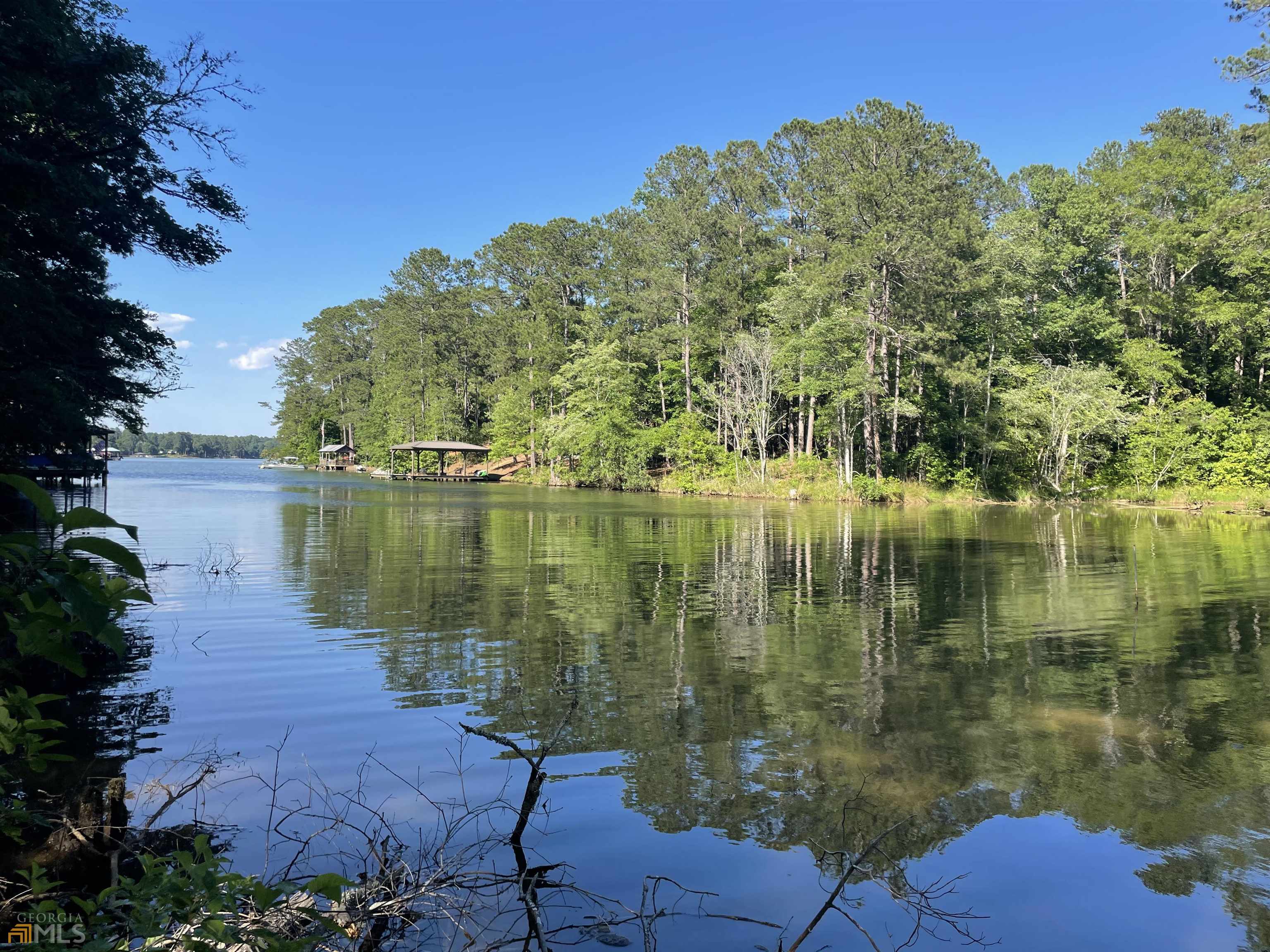 144 Earnhart Road Jackson, GA 30233 - Photo 1 of 1 a view of lake