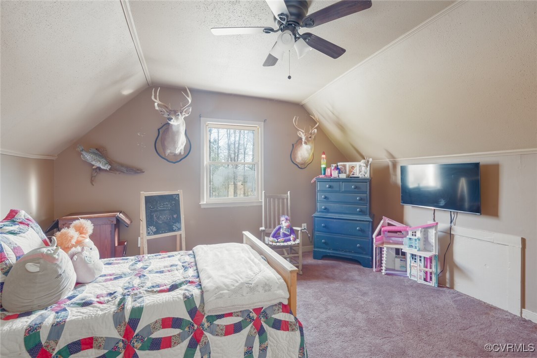 17910 Duval Road Moseley, VA 23120 - Photo 21 of 31 Gallery Image 21