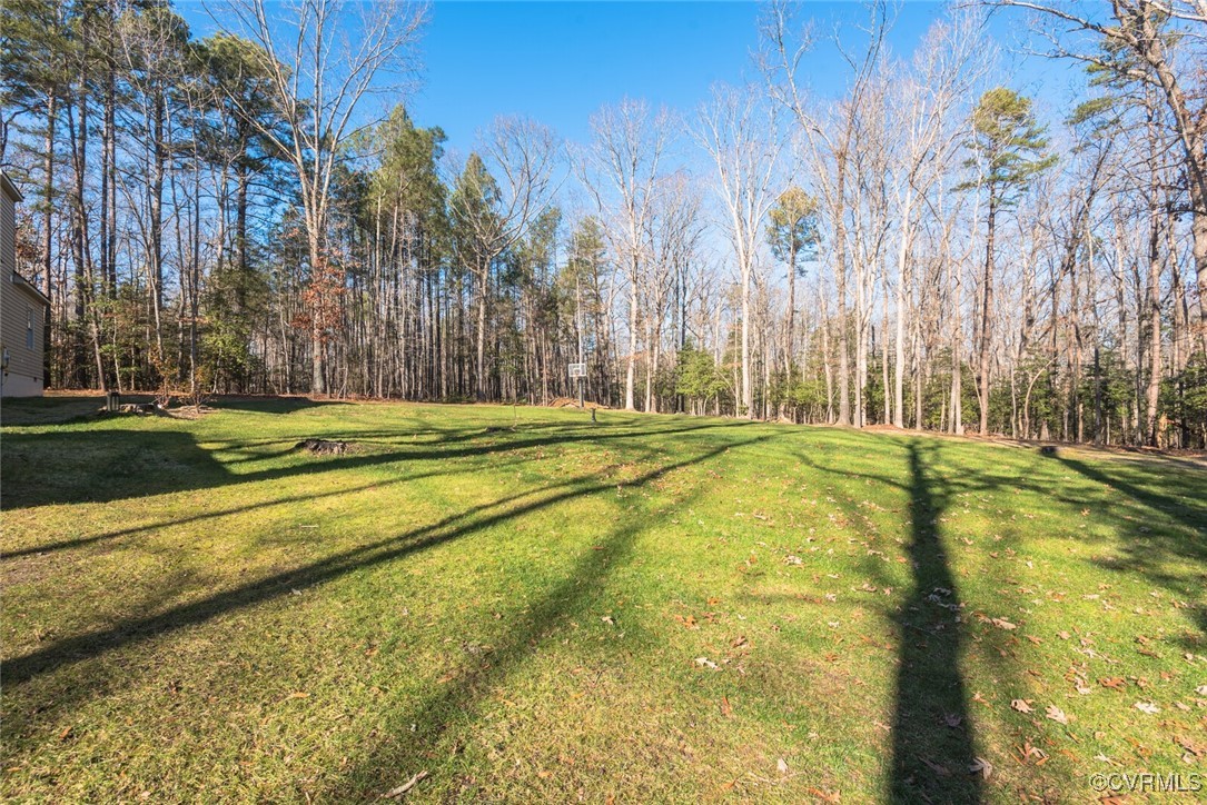 17910 Duval Road Moseley, VA 23120 - Photo 29 of 31 Gallery Image 29
