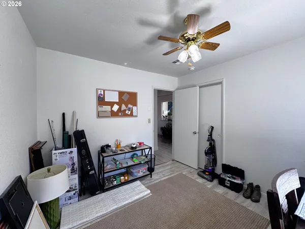 a view of backyard with potted plants and a large tree