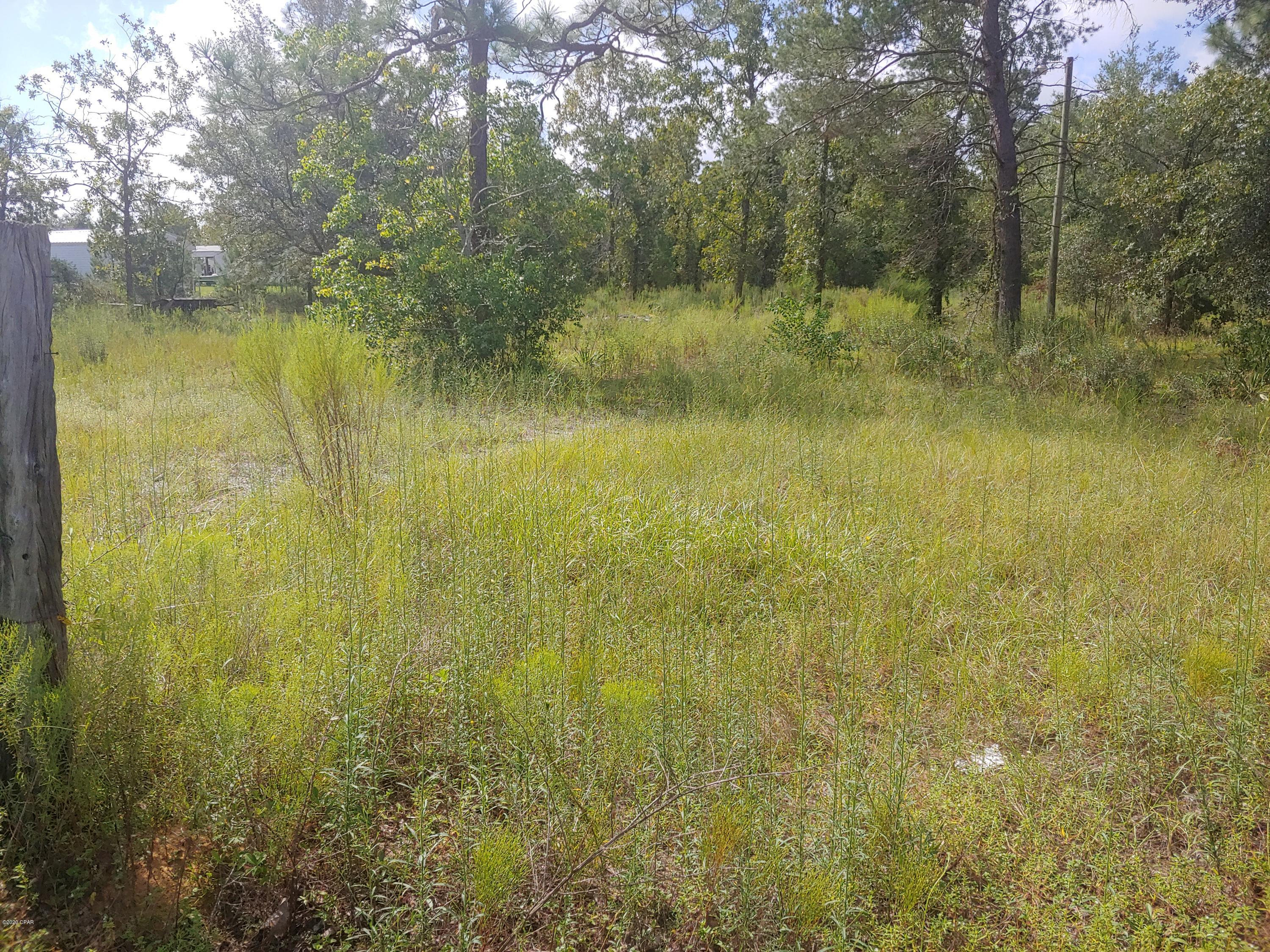1126 Spikes Road Southport, FL 32409 - Photo 3 of 8 Gallery Image 3