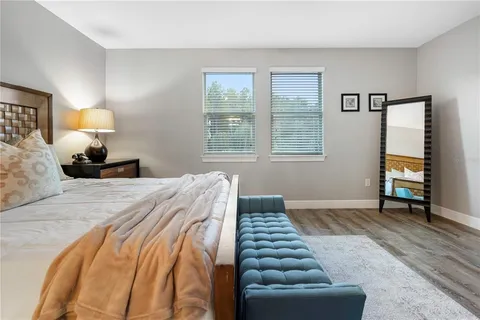 a view of a backyard with plants