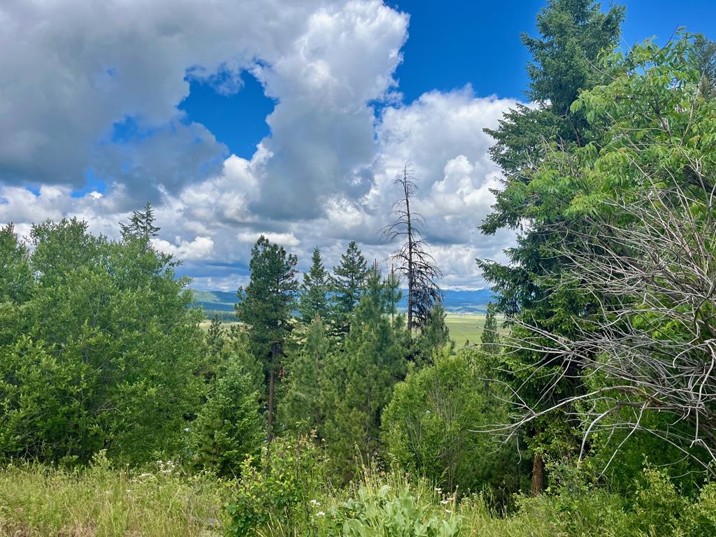 3305 Elk Ridge Road, Unit 4 New Meadows, ID 83654 - Photo 1 of 1 Main View