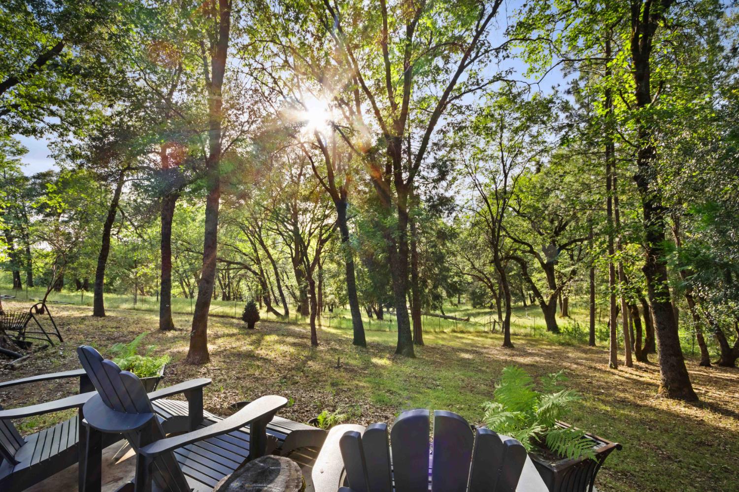 5025 Eco Ridge Road Placerville, CA 95667 - Photo 46 of 72