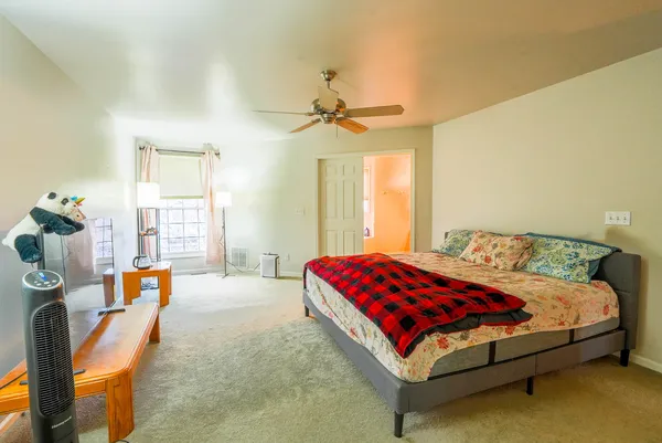 a bedroom with a bed couch and a window