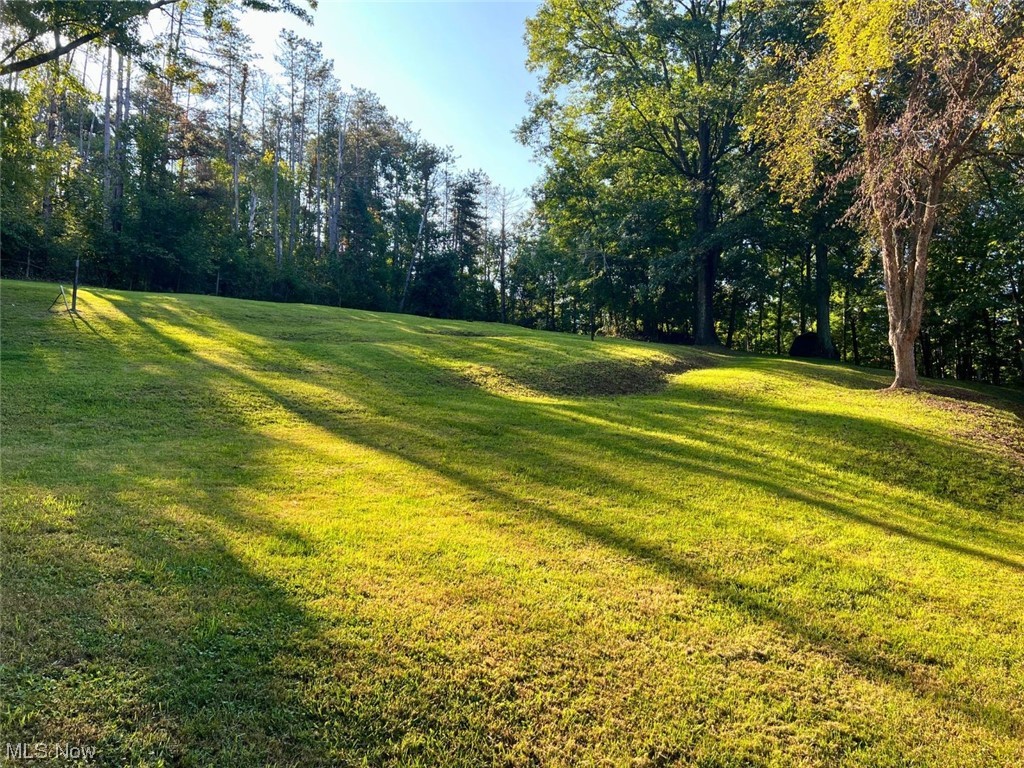 282 Magnolia Road Northwest Dellroy, OH 44620 - Photo 8 of 27 View of yard