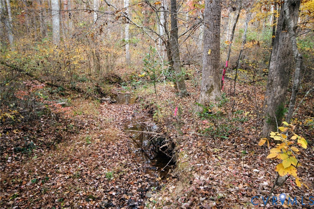 0 Ridge Road Arvonia, VA 23004 - Photo 39 of 50