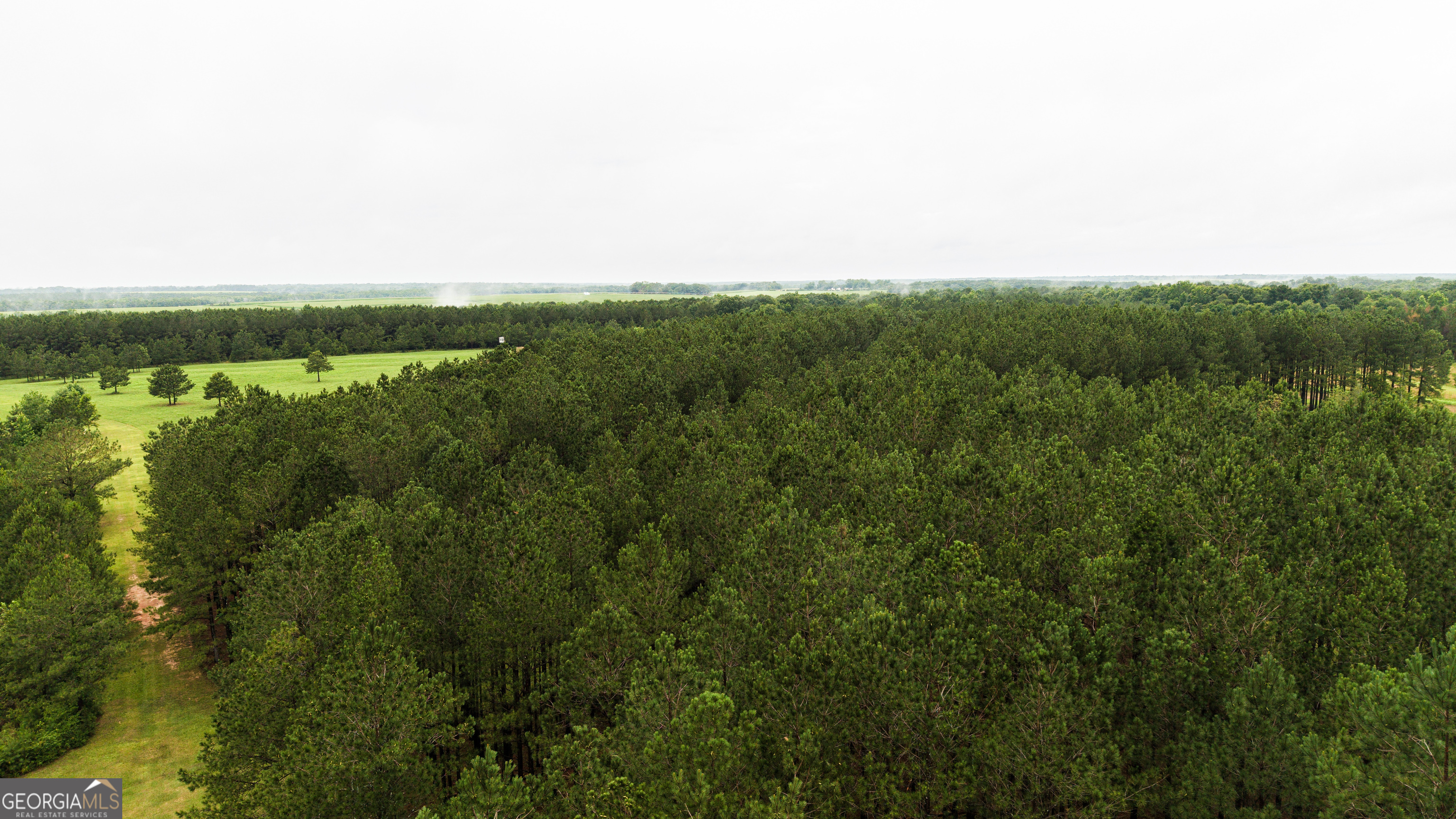 990 Highway 49 Americus, GA 31719 - Photo 99 of 121