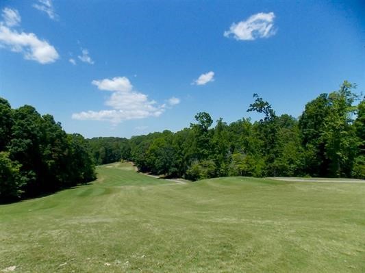 214 North Foxglove Road Westminster, SC 29693 - Photo 30 of 36 Gallery Image 30