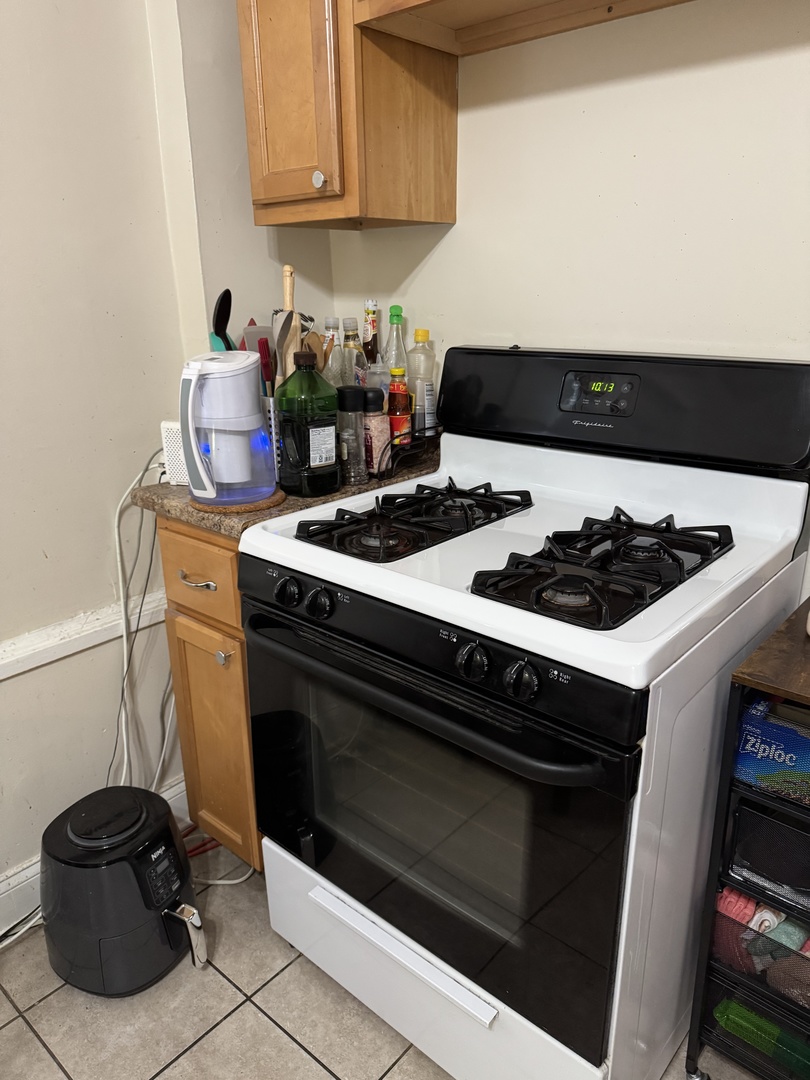 3145 South May Street, Unit 1F Chicago, IL 60608 - Photo 6 of 11