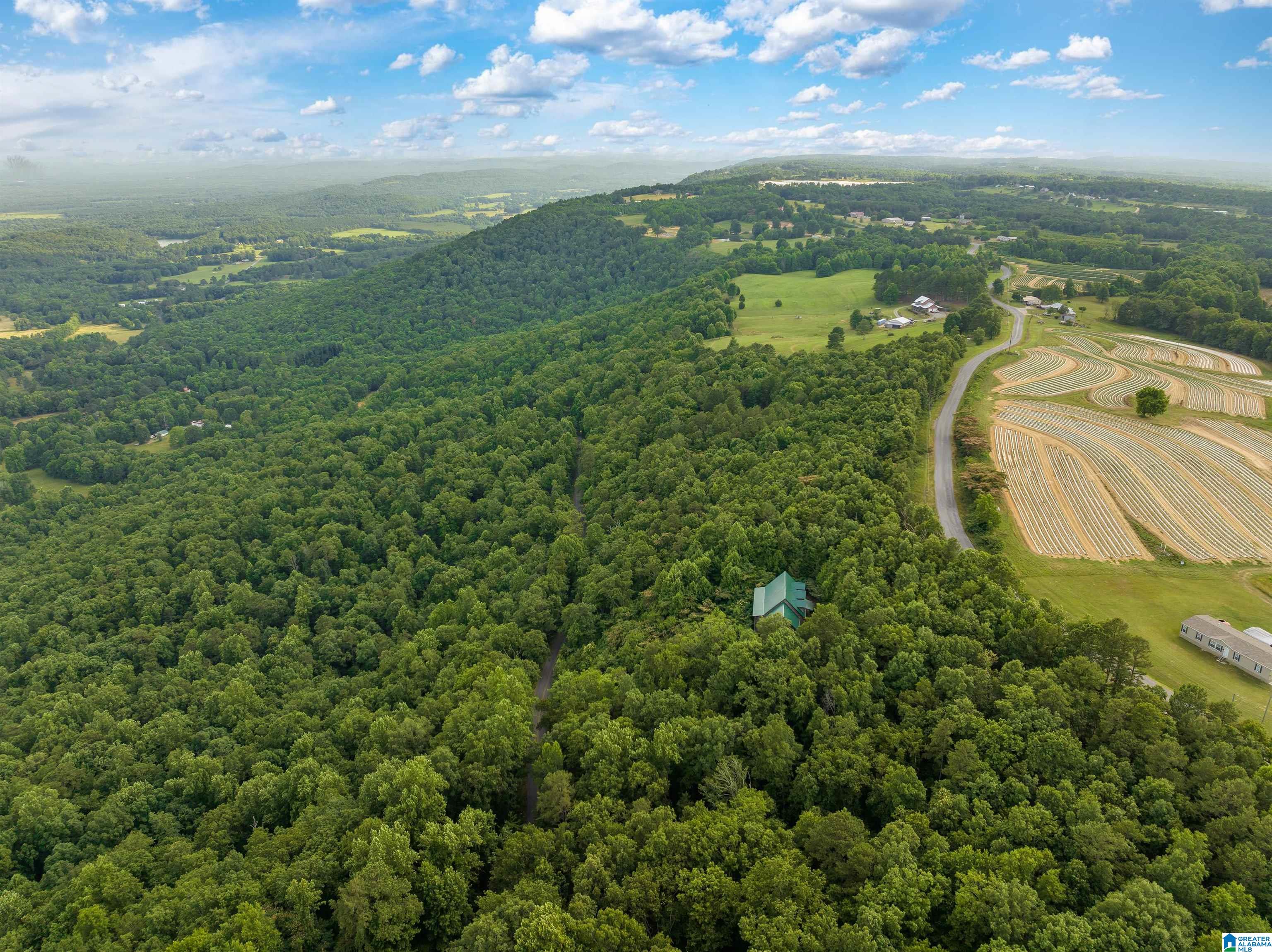 5924 Co Highway 24 Springville, AL 35146 - Photo 39 of 50