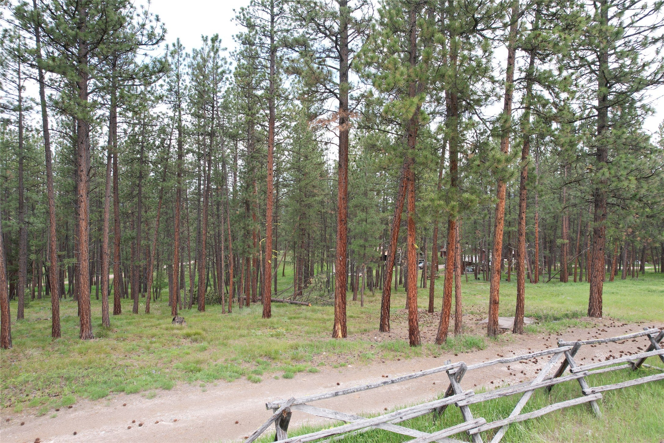 28273 Blixit Creek Road Bonner, MT 59823 - Photo 36 of 48 Gallery Image 36