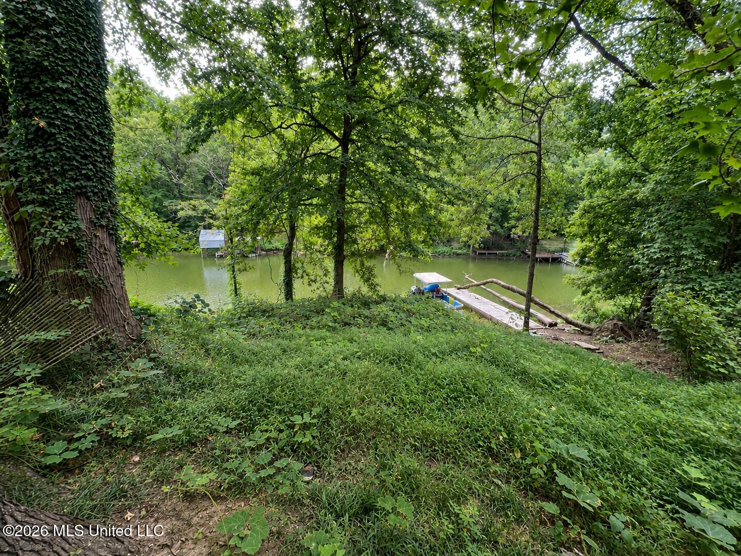 3256 Monans Rill Cove Hernando, MS 38632 - Photo 17 of 18 83C3A414-ABB9-4660-AB6F-1B0A9C741B03