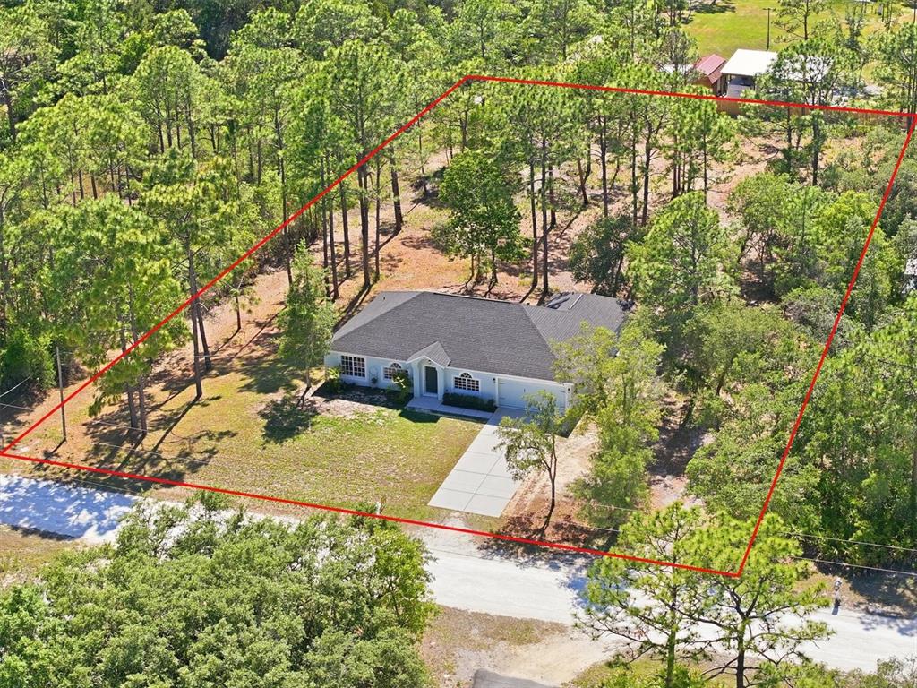 18063 Parrot Road Weeki Wachee, FL 34614 - Photo 4 of 52